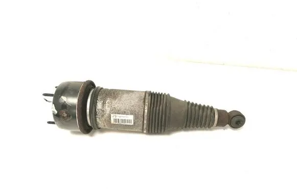 Rear shock absorber/damper