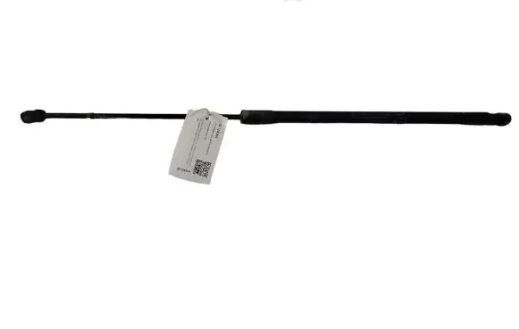 Ford C-MAX II Tailgate/trunk strut/damper AM51R406A10AE 5050180565N