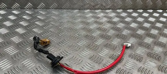 Lexus UX Other wiring loom