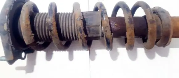 Toyota Corolla Verso AR10 Rear coil spring
