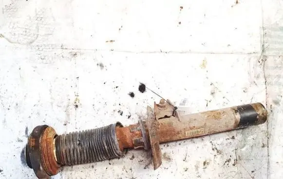 Volkswagen PASSAT B6 Front shock absorber/damper 3c0413031ac