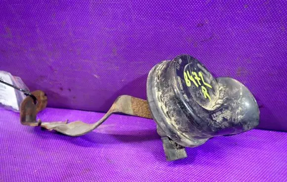 Volkswagen PASSAT B6 Horn signal 007424