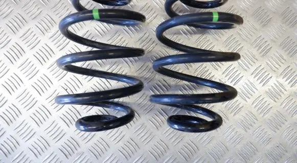 Nissan Leaf II (ZE1) Rear coil spring 550205SJ0A