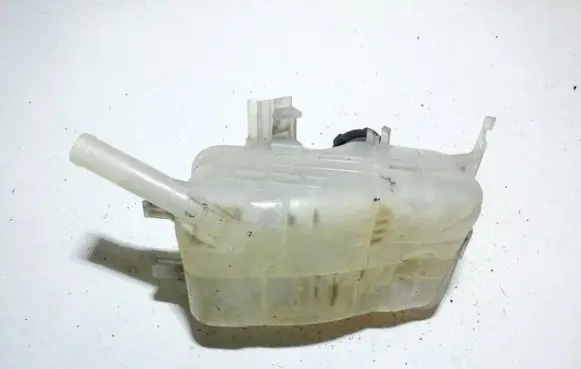 Renault Scenic III - Grand scenic III Coolant expansion tank/reservoir 217100005r
