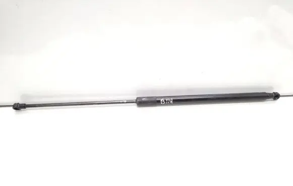 Tailgate/trunk strut/damper