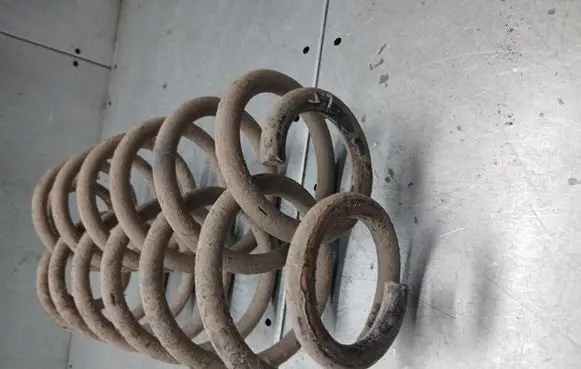 Rear coil spring