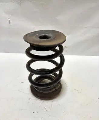 BMW Z4 E85 E86 Rear coil spring 