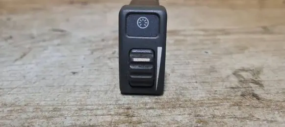Panel lighting control switch