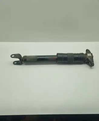 Dodge Durango Rear shock absorber/damper 