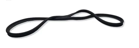 Nissan Juke I F15 Trunk rubber seal (body) 