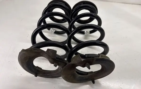 Tesla Model 3 Rear coil spring 104447201E