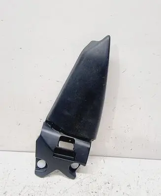 Renault Arkana Other rear door trim element D20432JL000 822920041R