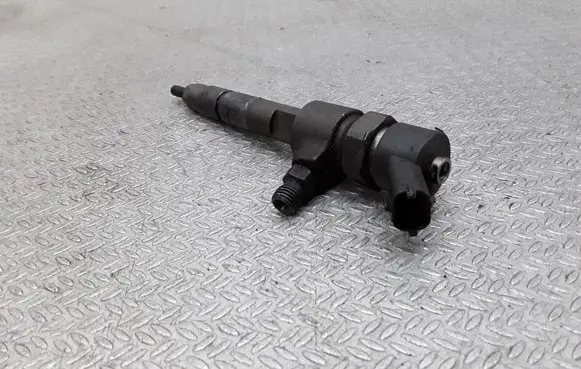 Fiat Punto (188) Fuel injector 0445110019