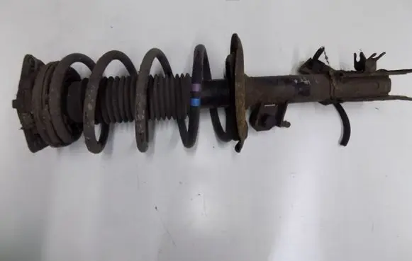 Nissan Qashqai Front shock absorber with coil spring 123ghjrtk768