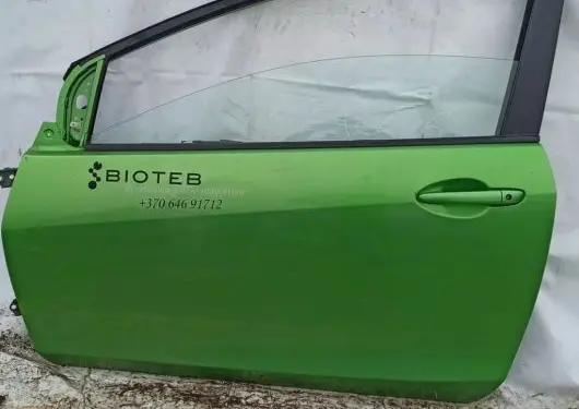 Mazda 2 Front door