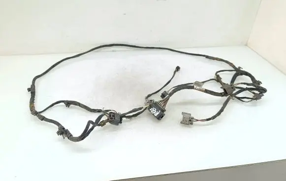 Volkswagen PASSAT B7 Parking sensor (PDC) wiring loom 3AA971095AQ