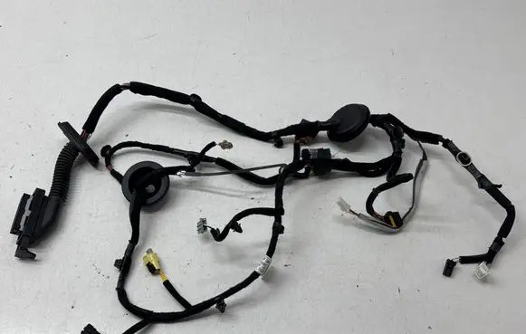 KIA Niro Front door wiring loom 91600AO060 40060