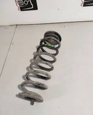 Volkswagen Tiguan Rear coil spring 