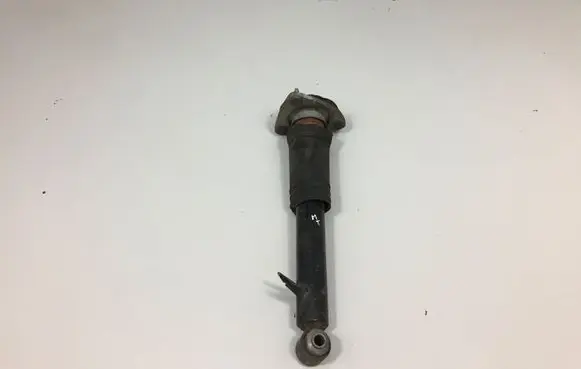 BMW X5 E70 Rear shock absorber/damper 6781931