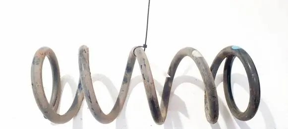 Rear coil spring