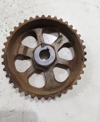 Renault Kangoo II Fuel pump gear (pulley) 