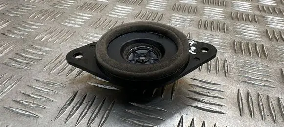 Toyota RAV 4 (XA40) Panel speaker 8616052340