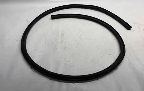 Ford Mustang VI Rubber seal front coupe door FR3B6320531AE