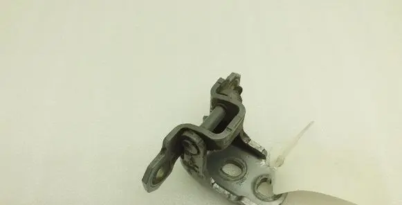 Renault Laguna III Rear door upper hinge