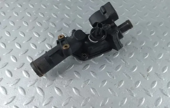 Thermostat/thermostat housing