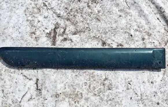 Citroen Xsara Rear door trim (molding) 9622691277