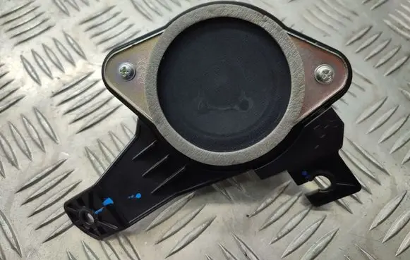 Front door speaker