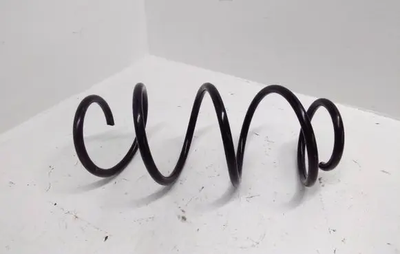 Front coil spring
