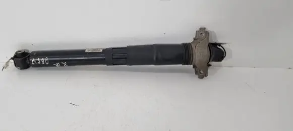 Porsche Cayenne (9Y0 9Y3) Rear shock absorber/damper 9Y0513031C