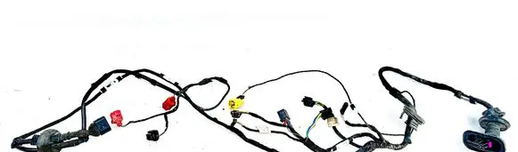 Front door wiring loom