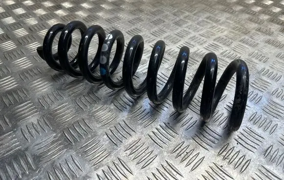 Rear coil spring
