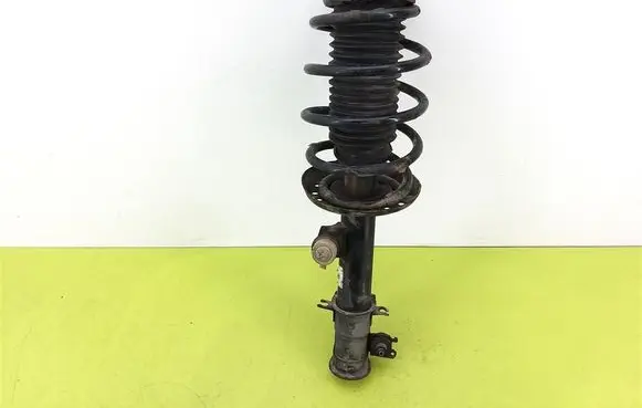 Fiat Doblo Front shock absorber with coil spring G8209