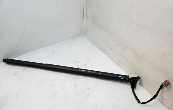 Ford Mach-E I Tailgate/trunk strut/damper LJ8BR402A55AD 20221102 033530