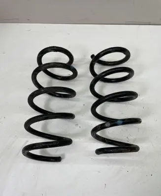 Renault Trafic III (X82) Rear coil spring