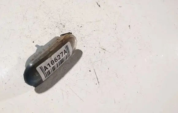 Front fender indicator light