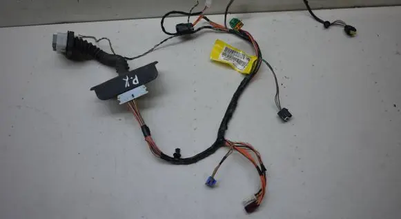 Front door wiring loom