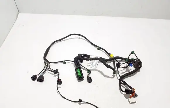 Porsche Panamera (971) Other wiring loom 971971122