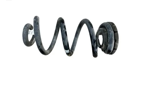 Rear coil spring