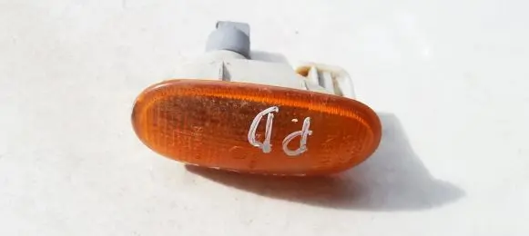 Front fender indicator light