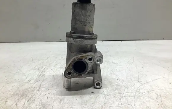 EGR valve