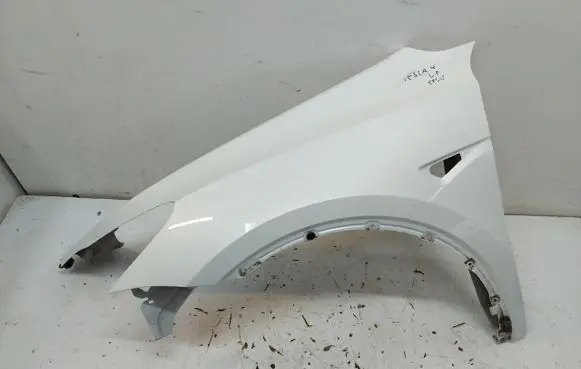 Tesla Model Y Fender TESYBlo870283