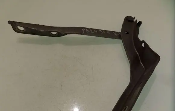 Peugeot 307 Engine bonnet/hood hinges 9636473580
