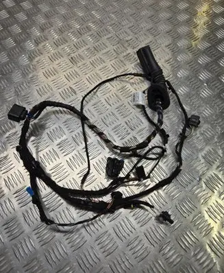 BMW X2 F39 Front door wiring loom 19344411