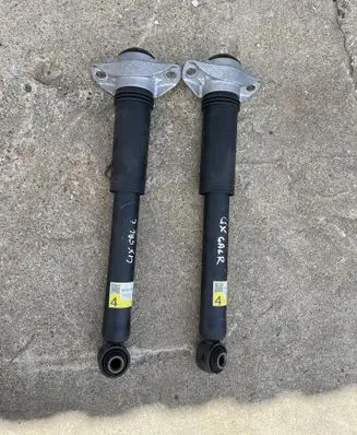 Lexus UX Rear shock absorber/damper 4853076320