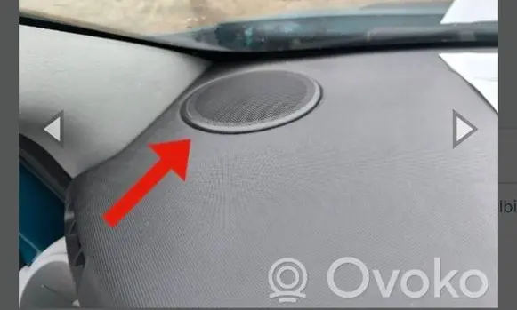 Renault Trafic II (X83) Side speaker trim/cover 7700842163B