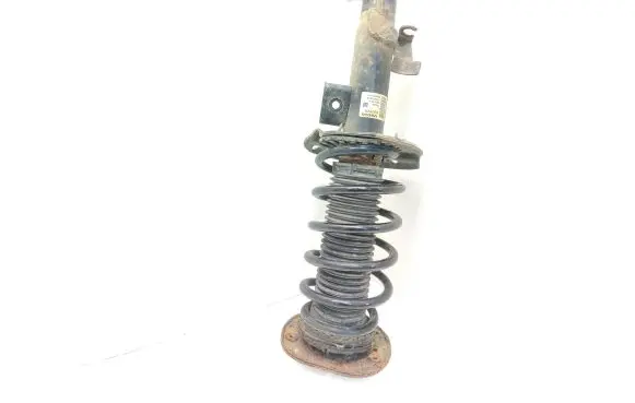 Front shock absorber with coil spring